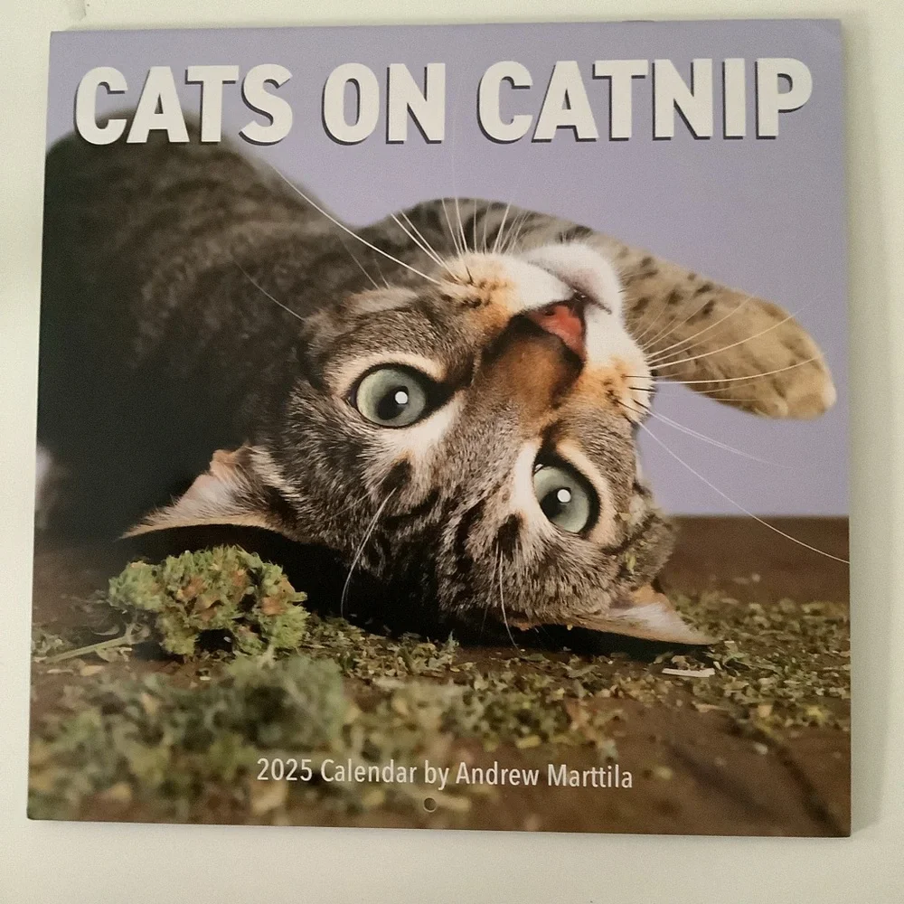 Cat calendar